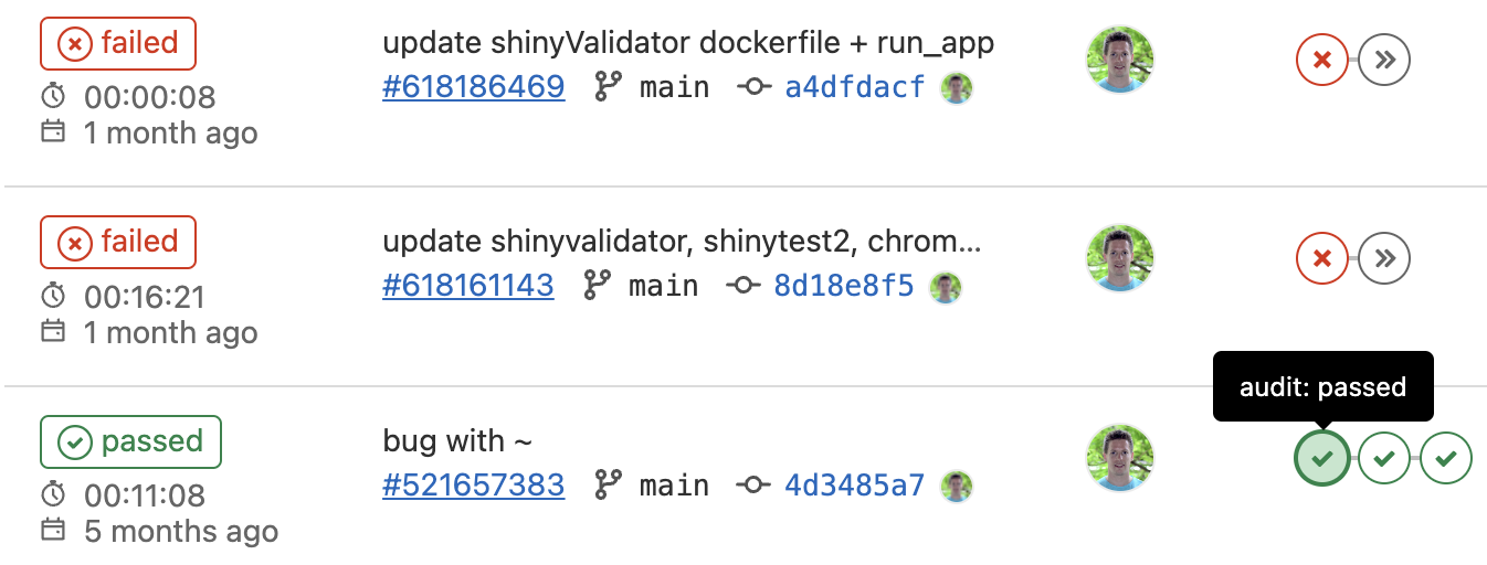 shinyValidator pipeline on GitLab CI.