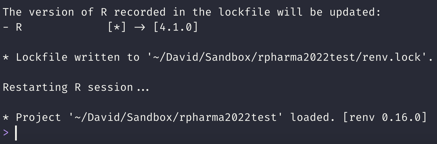 Code output showing successful renv setup.